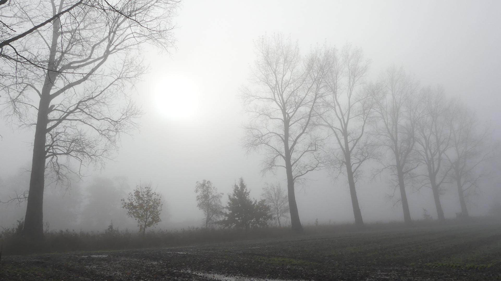 Herbststimmung