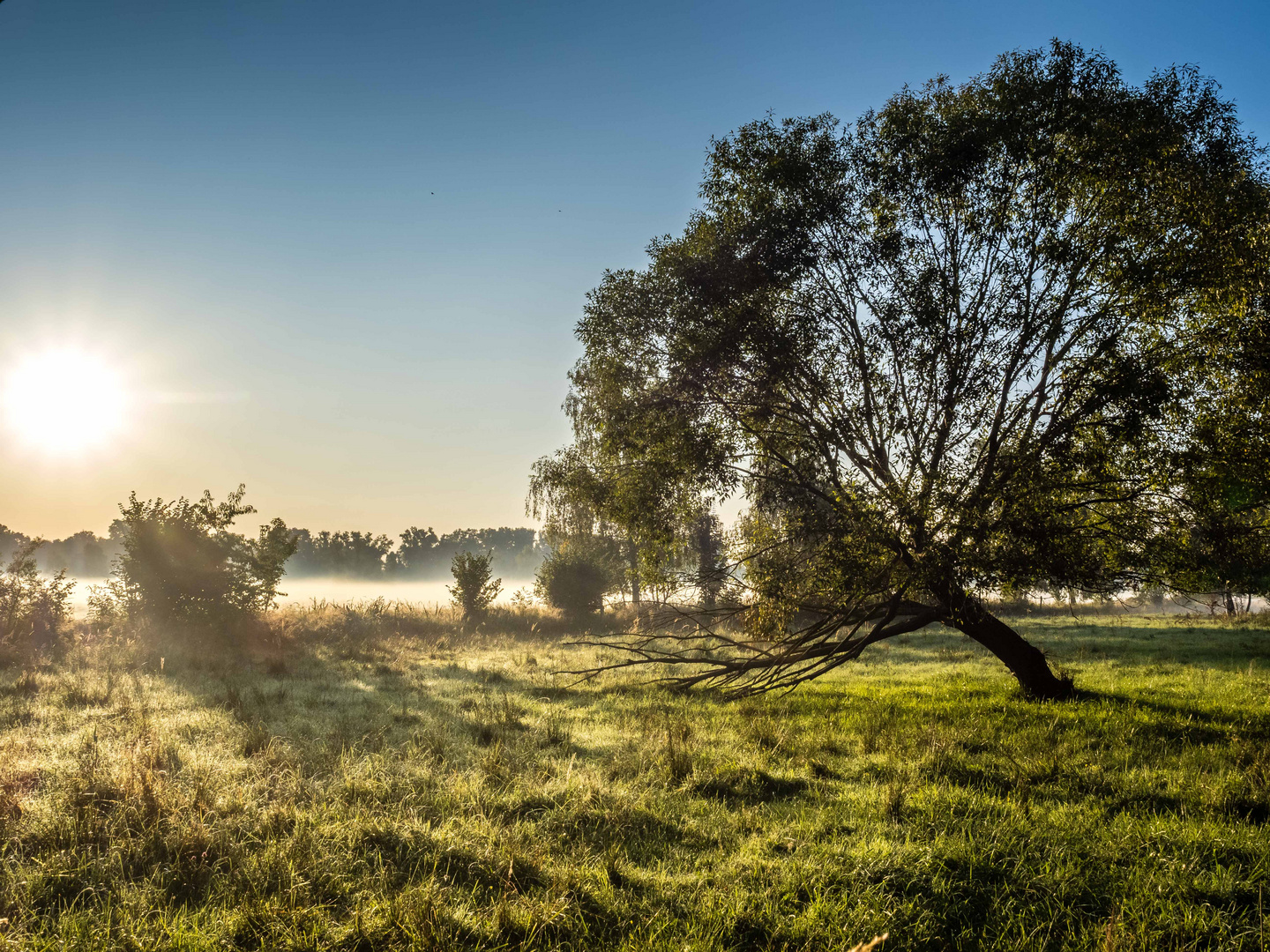 Herbststimmung