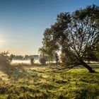 Herbststimmung