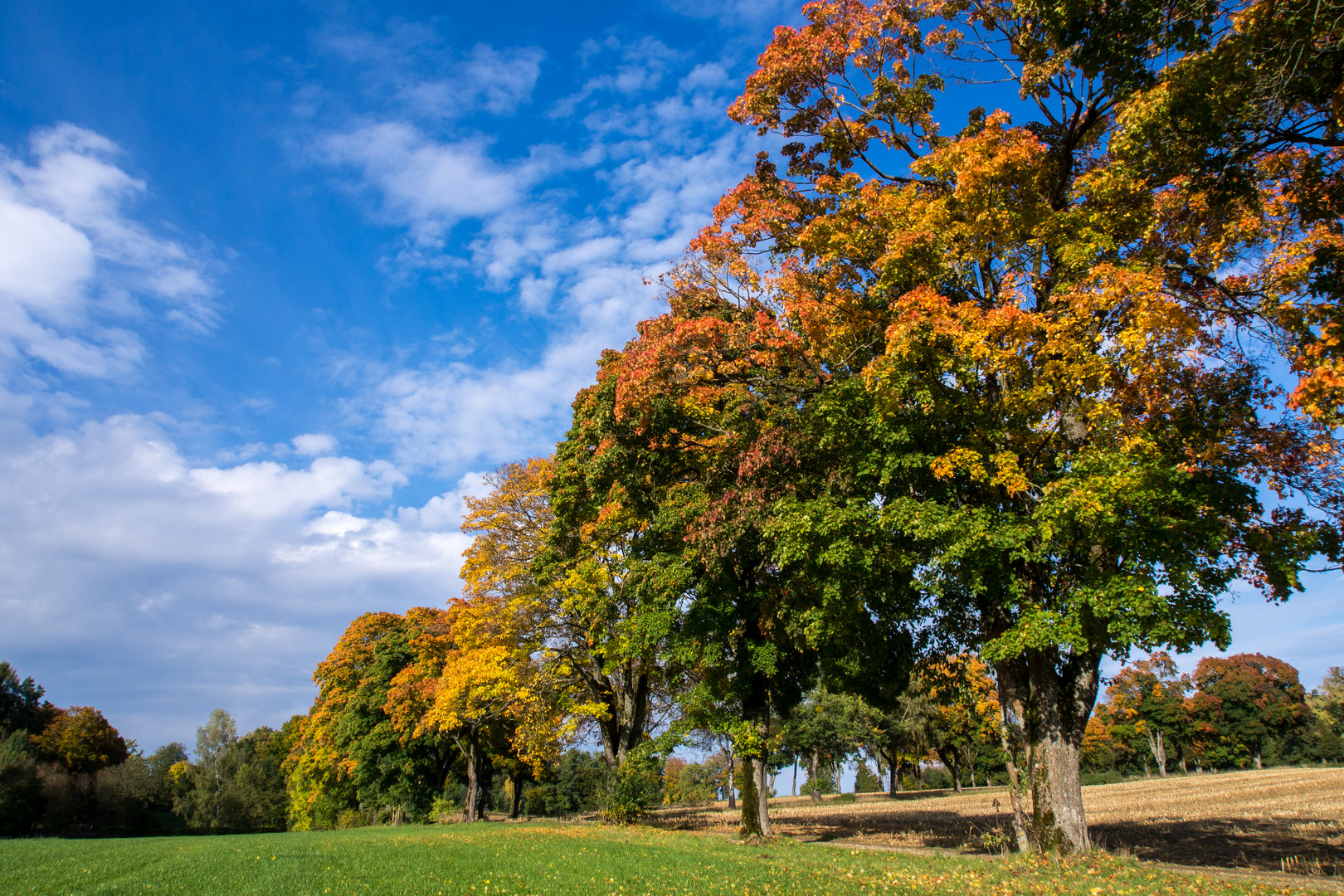 Herbststimmung