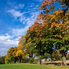 Herbststimmung