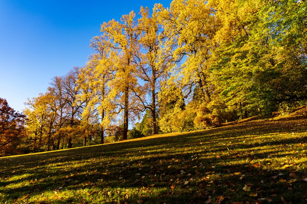 Herbststimmung ...