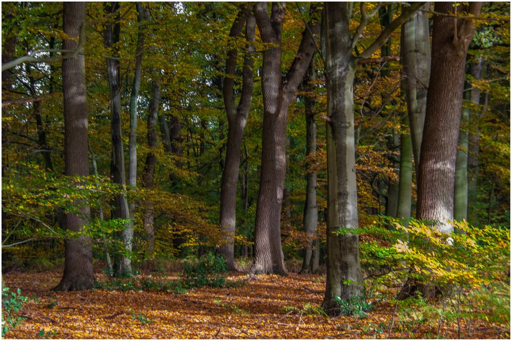 Herbststimmung