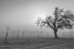 Herbststimmung