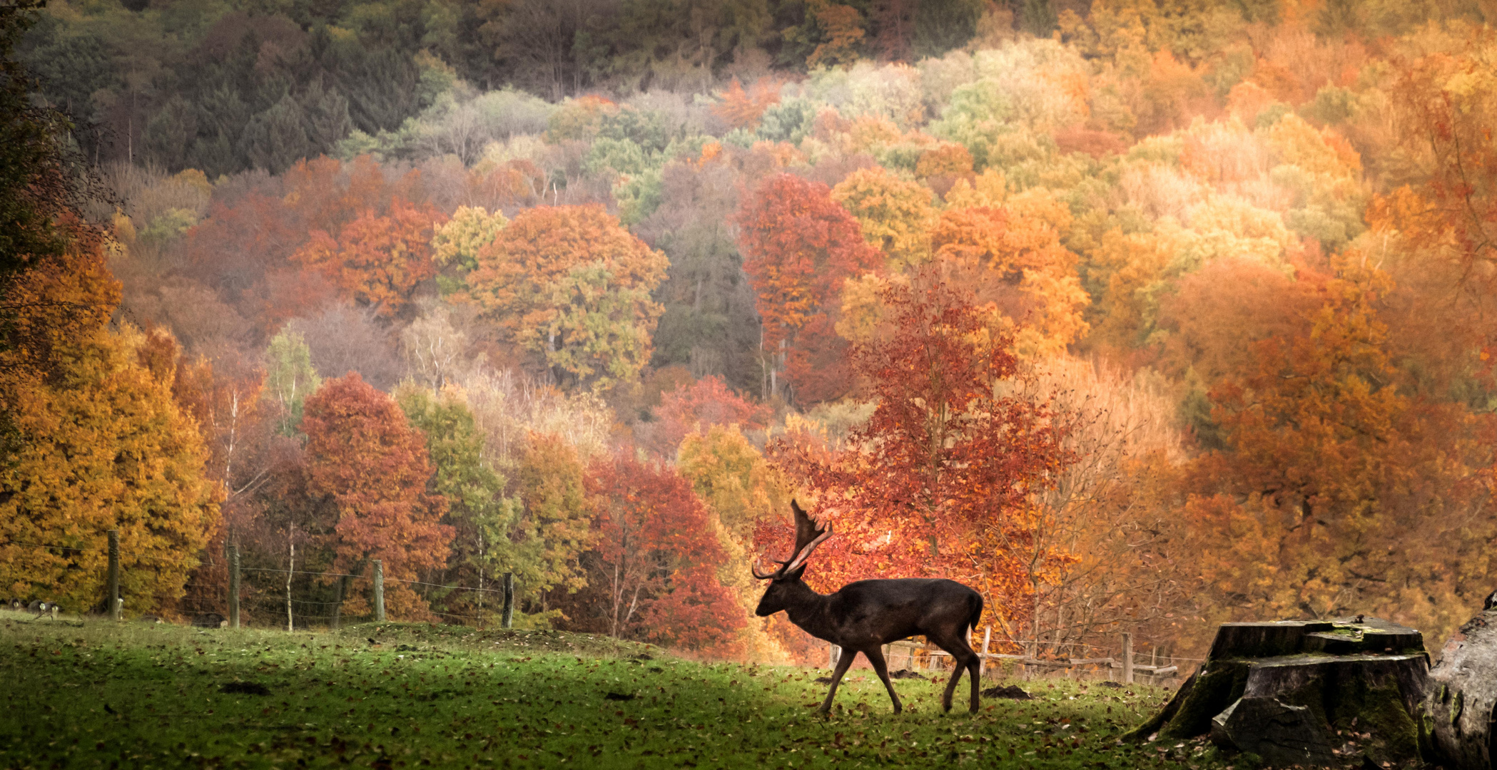 Herbststimmung