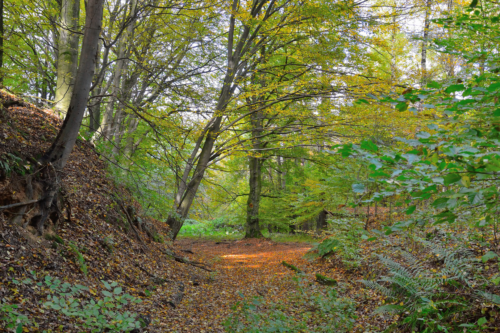 Herbststimmung