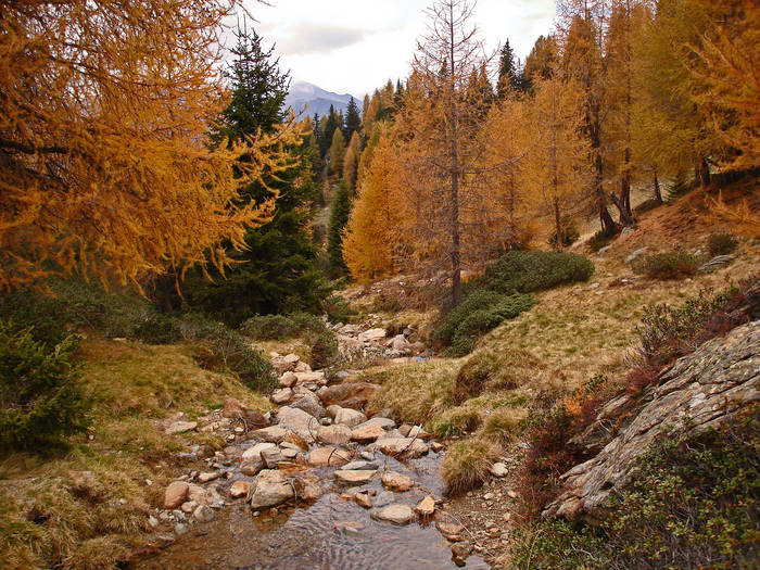 Herbststimmung