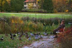 Herbststimmung