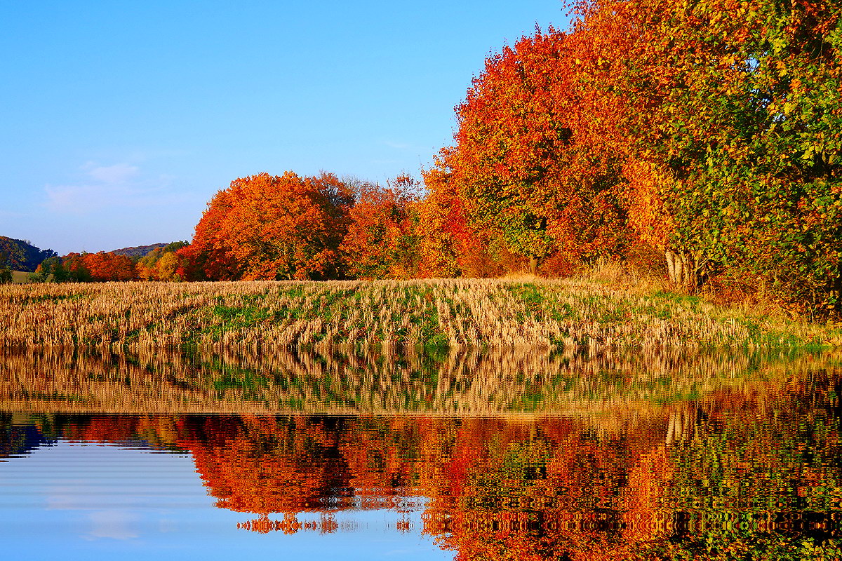 Herbststimmung