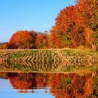 Herbststimmung