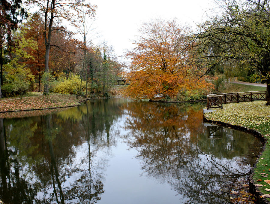 Herbststimmung