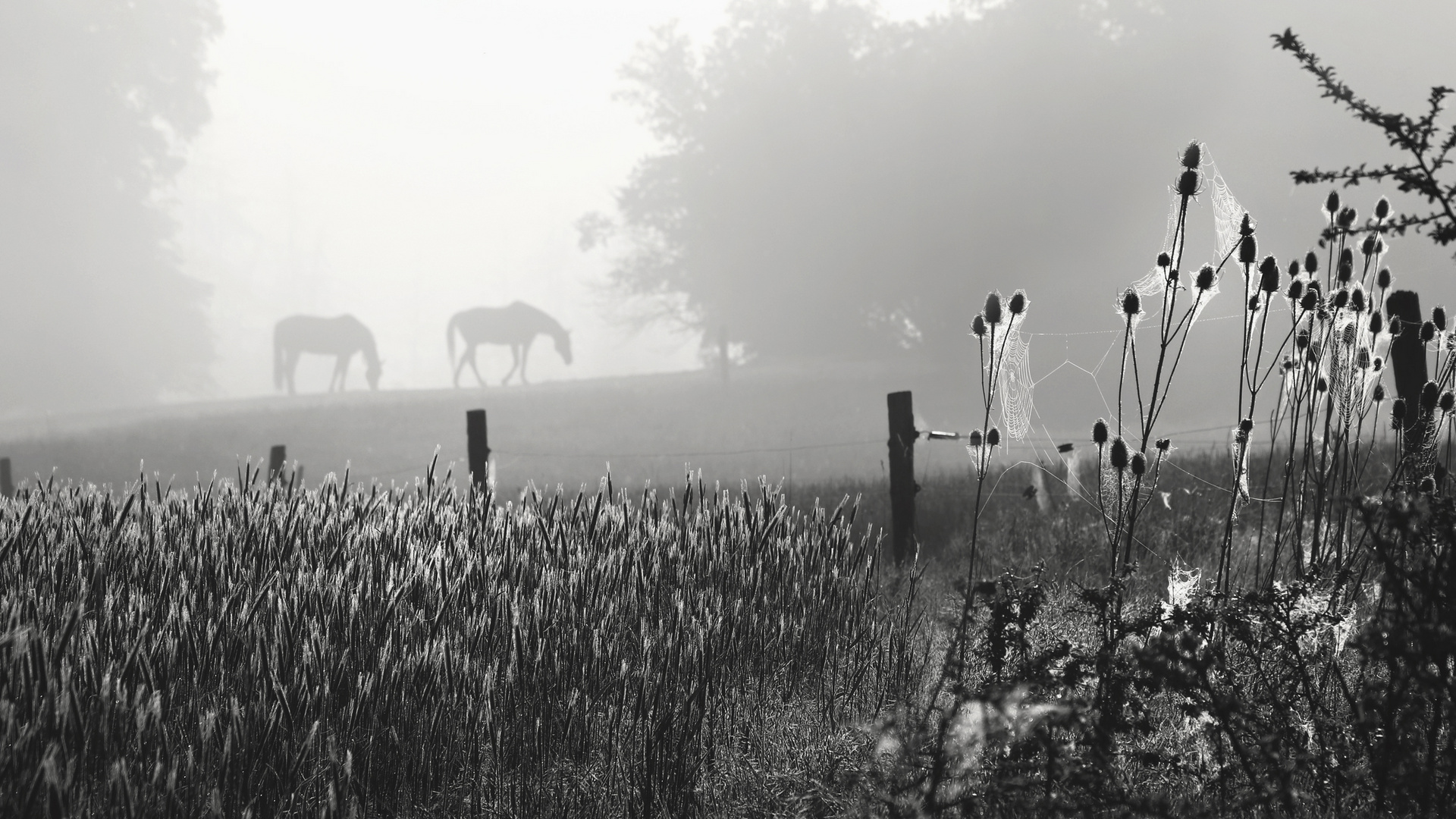 Herbststimmung