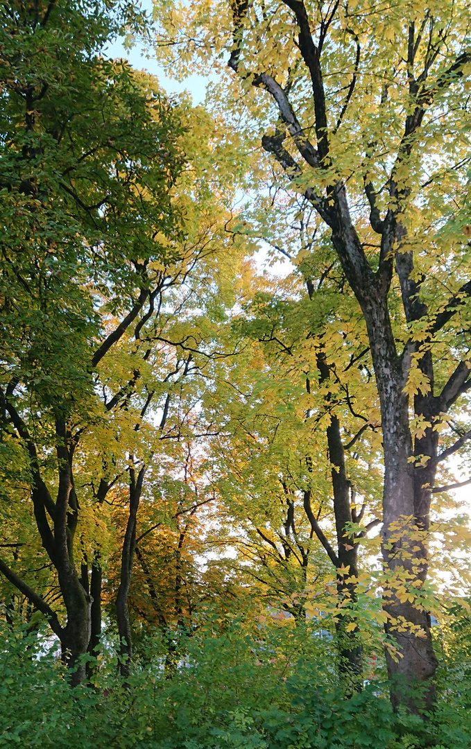 Herbststimmung