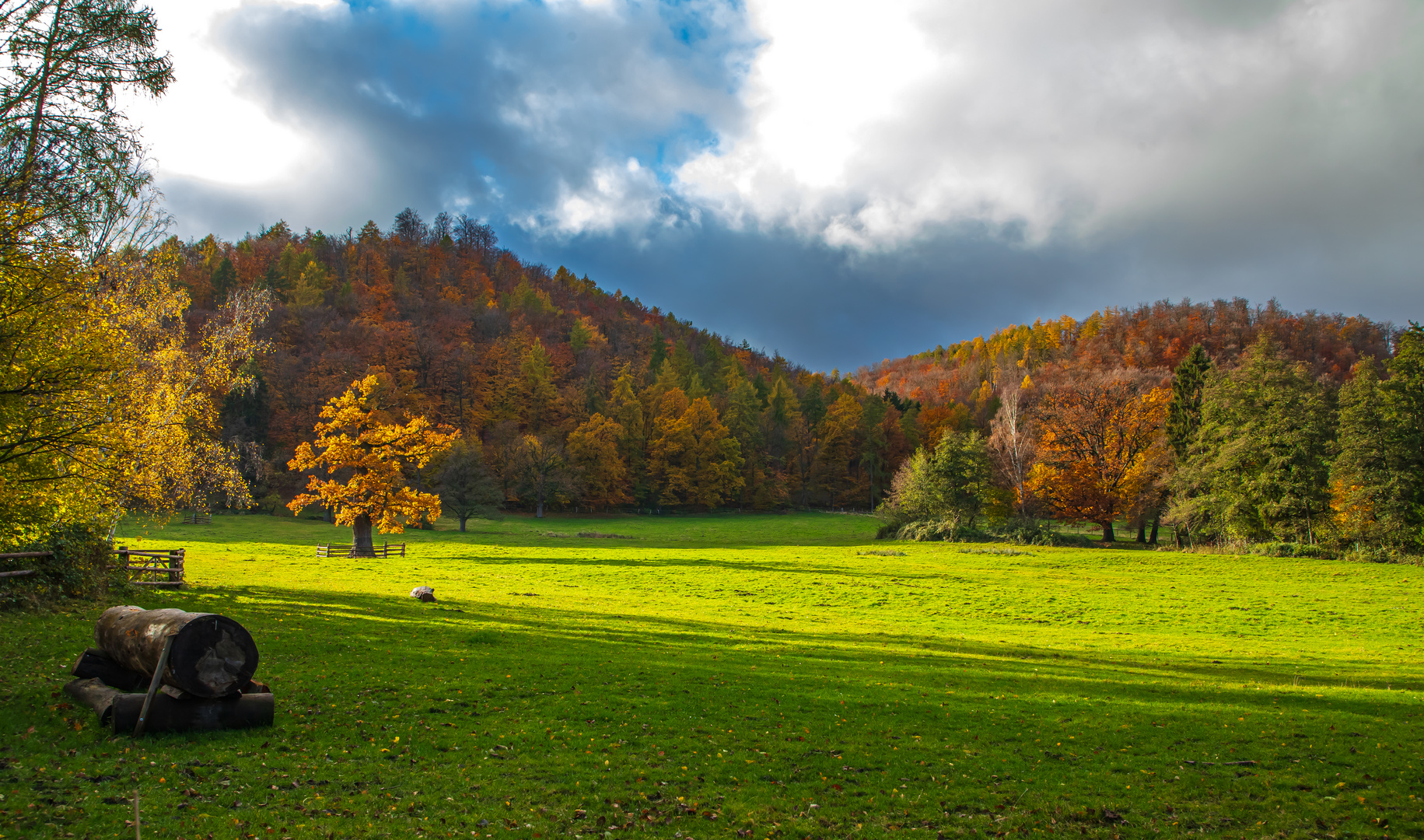 Herbststimmung bei Bad Harzburg