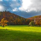 Herbststimmung bei Bad Harzburg