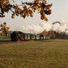 Herbststimmung bei der Lößnitzgrundbahn