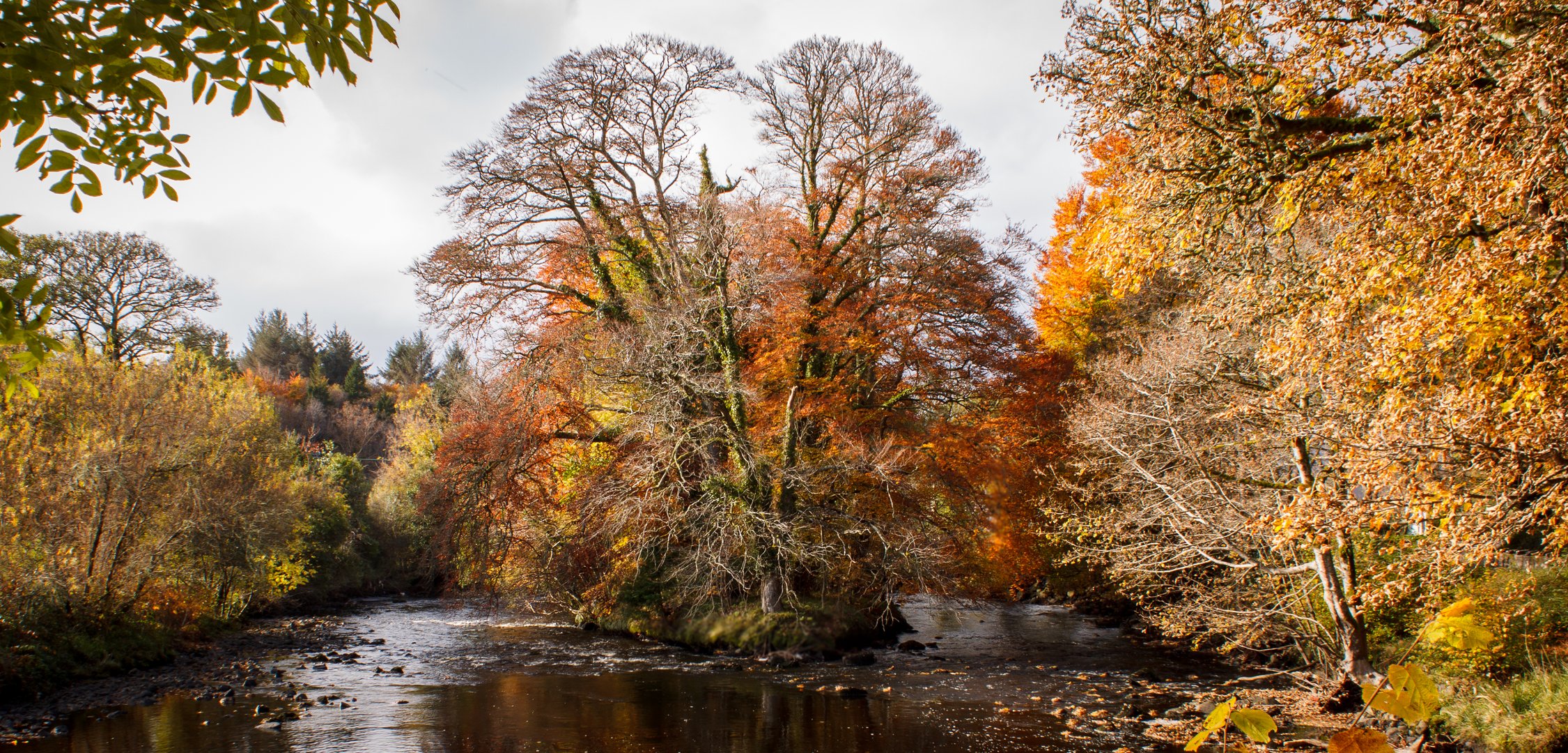 Herbststimmung bei Dromahair, Co. Leitrim