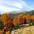 Herbststimmung bei Durnholz (Sarntal)