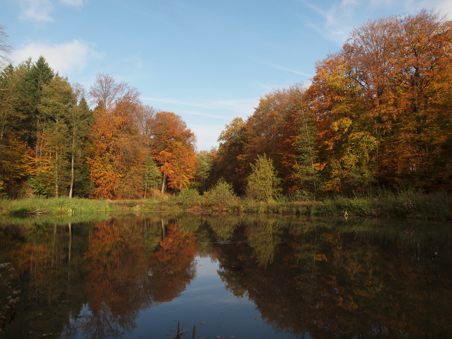 Herbststimmung bei Gut Daudieck