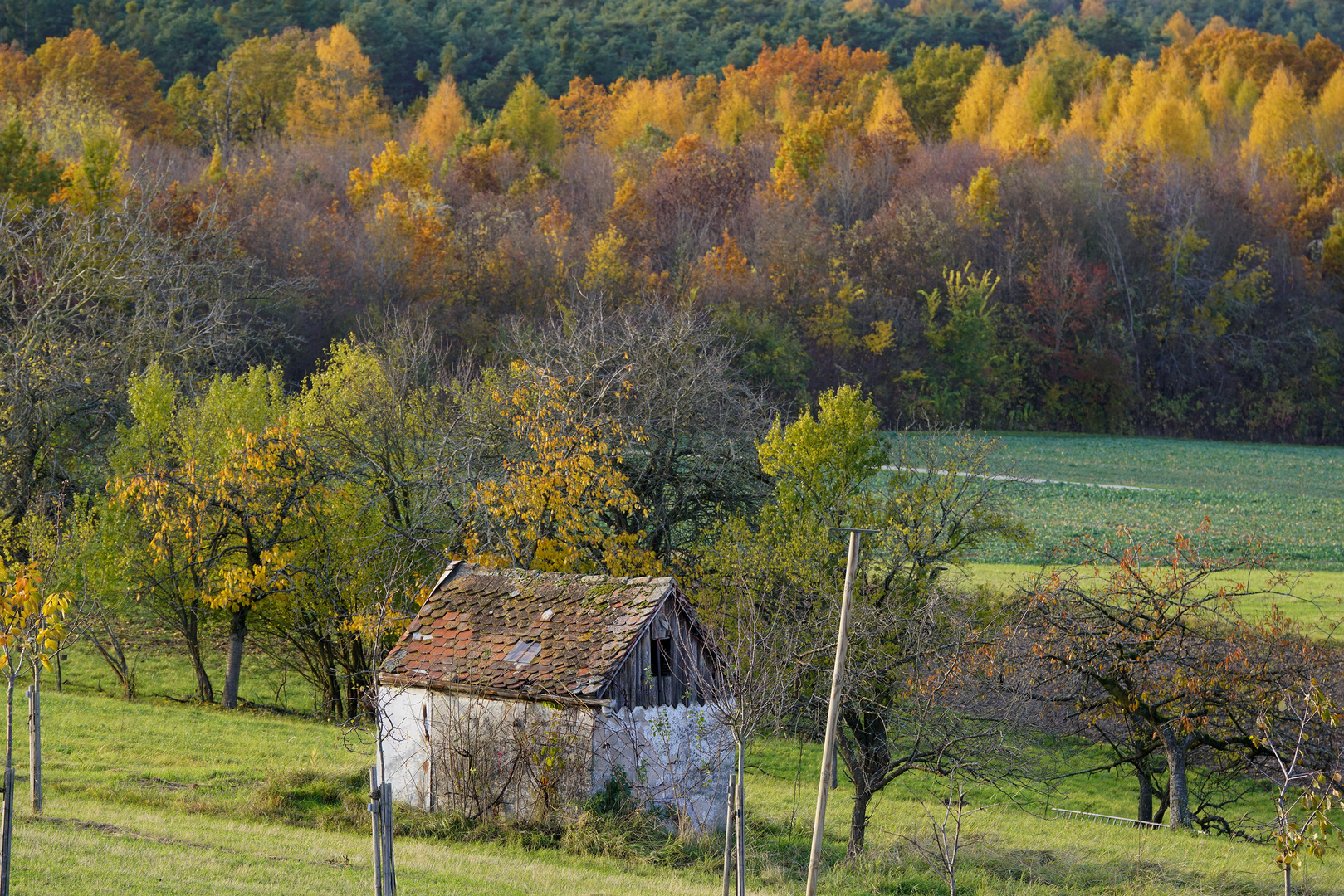 Herbststimmung bei Kalchreuth