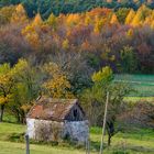 Herbststimmung bei Kalchreuth