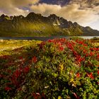 Herbststimmung bei Laukvik