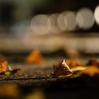 Herbststimmung bei Nacht