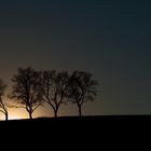 Herbststimmung bei Nuweiler