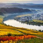 Herbststimmung bei Piesport