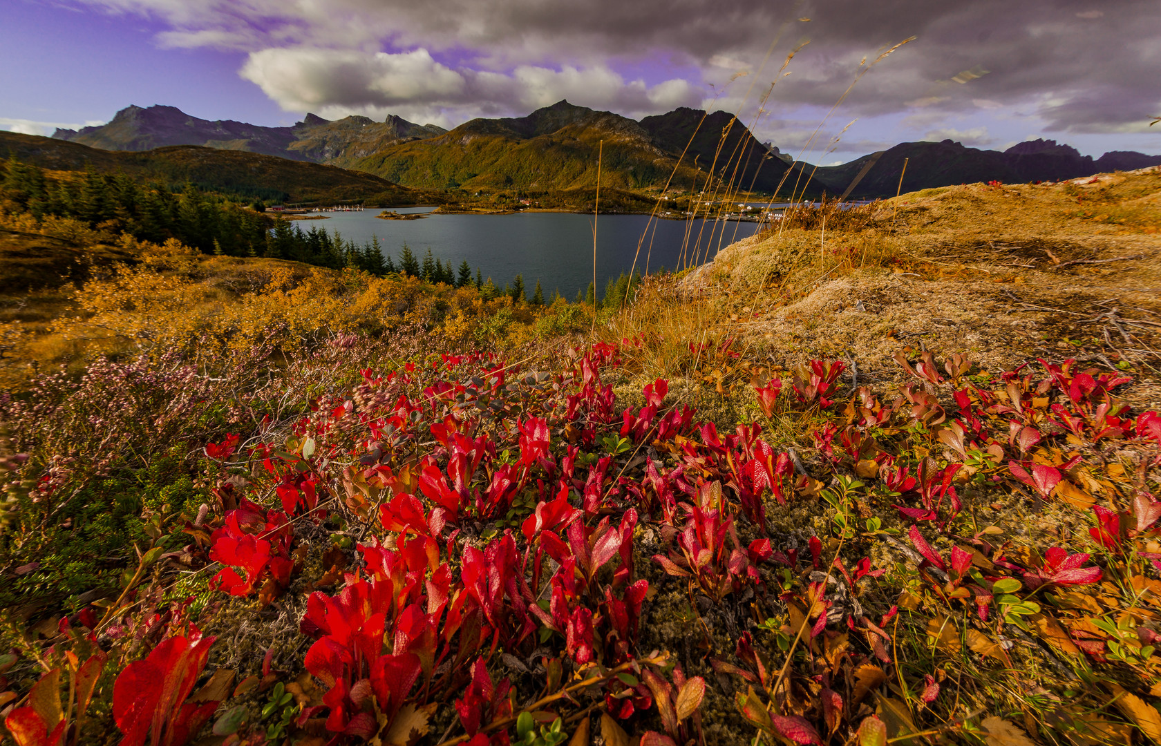 Herbststimmung bei Vestpollen