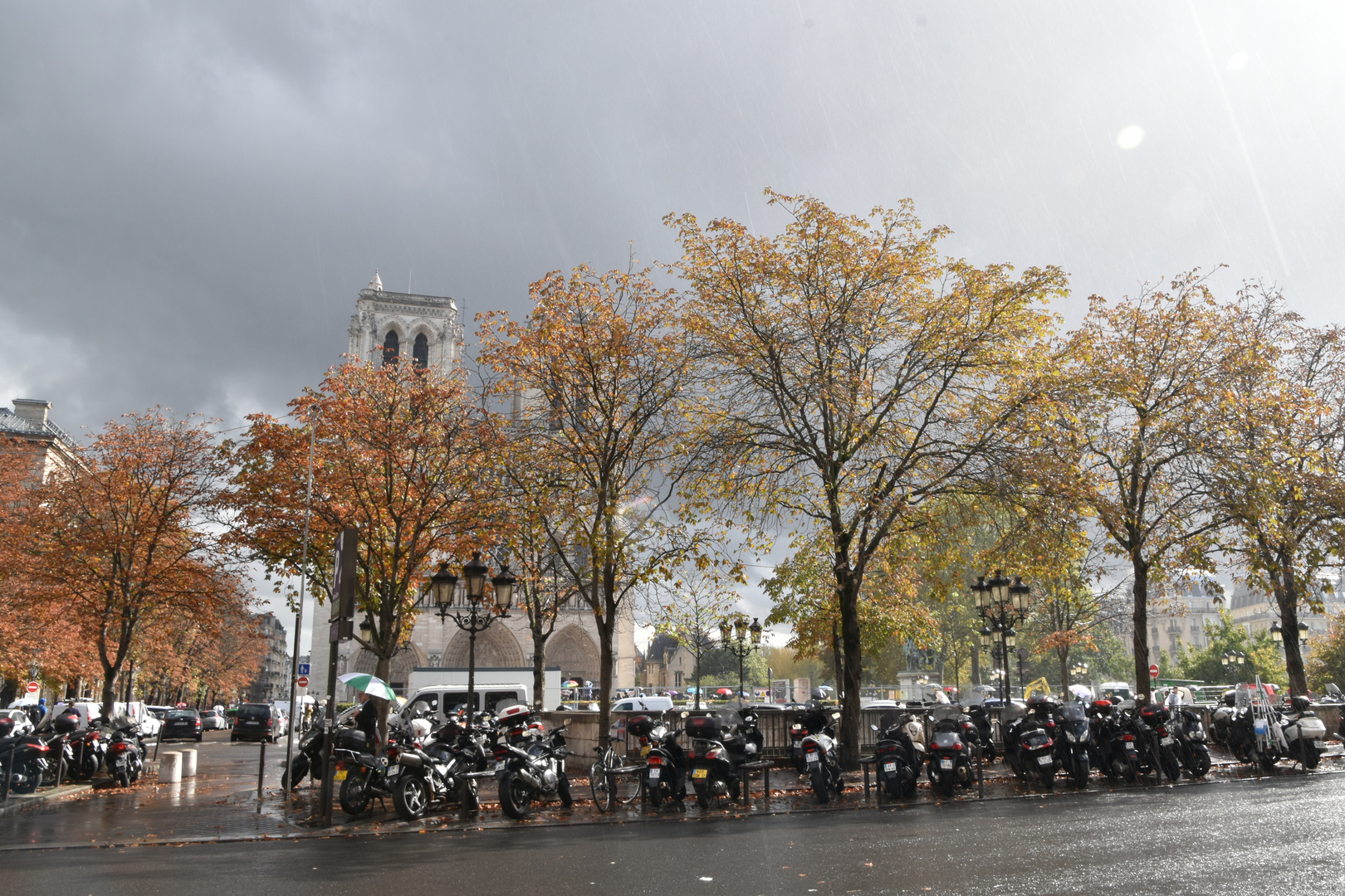 Herbststimmung beim Notre Dame