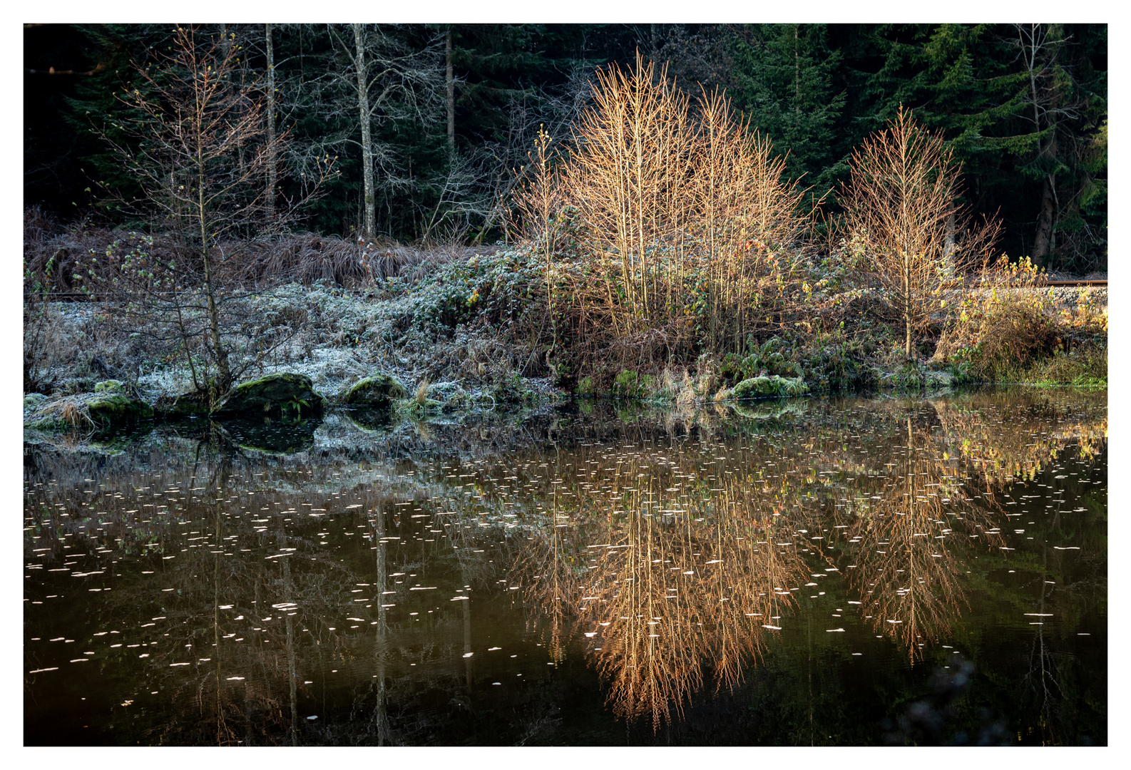 Herbststimmung