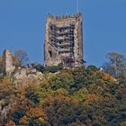 Herbststimmung Burgruine Drachenfels (2)