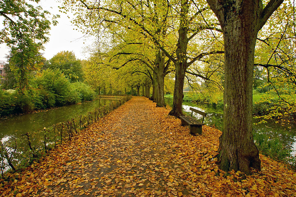 Herbststimmung