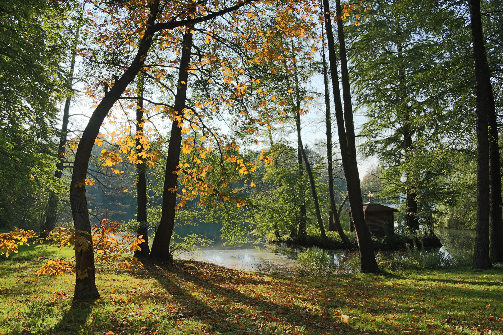 Herbststimmung