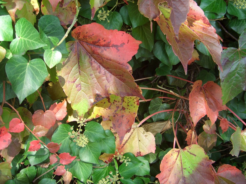 Herbststimmung