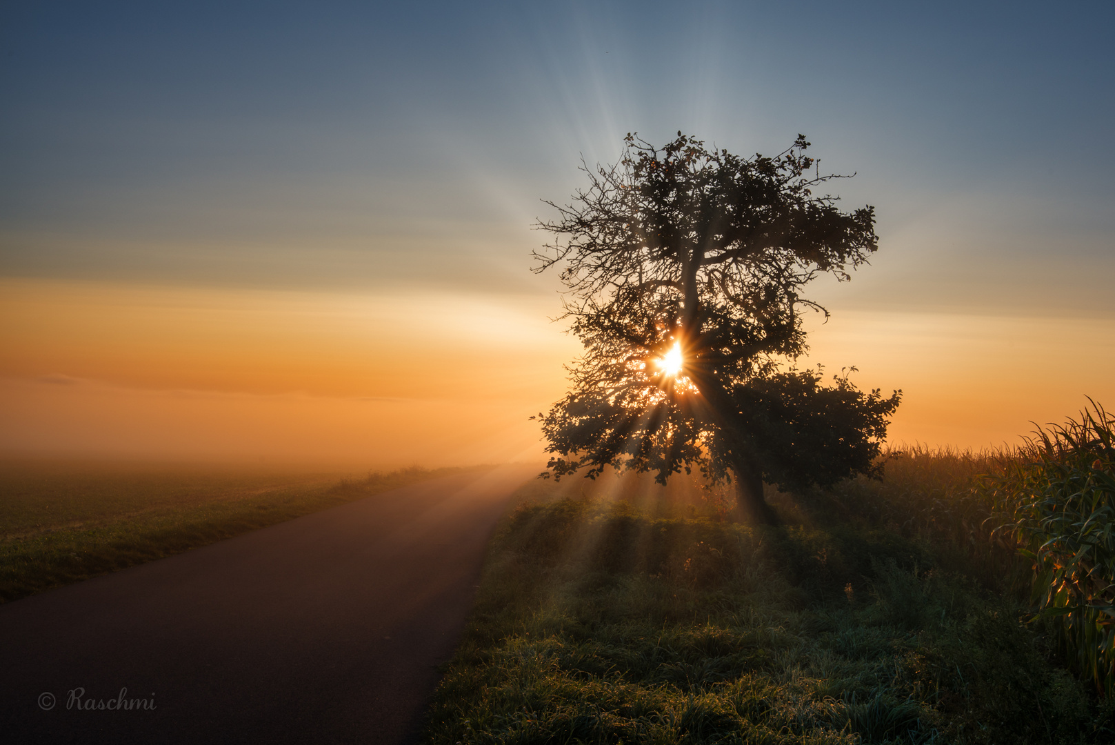 HERBSTSTIMMUNG