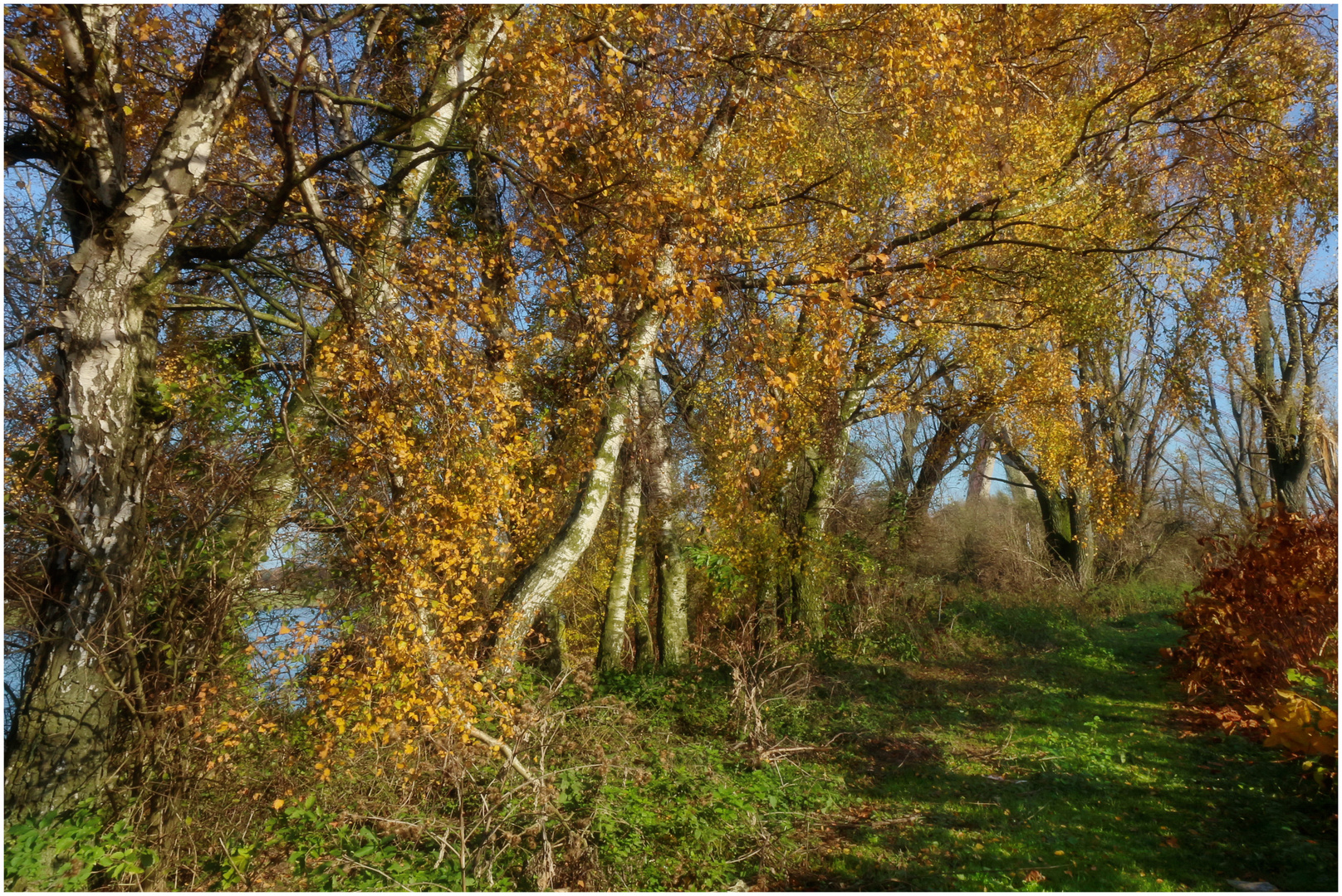 Herbststimmung............