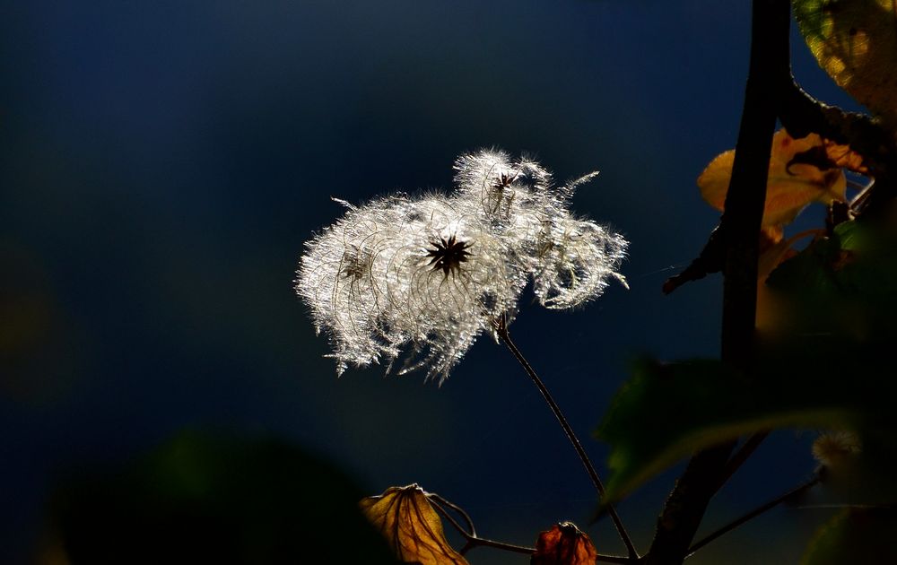 Herbststimmung 