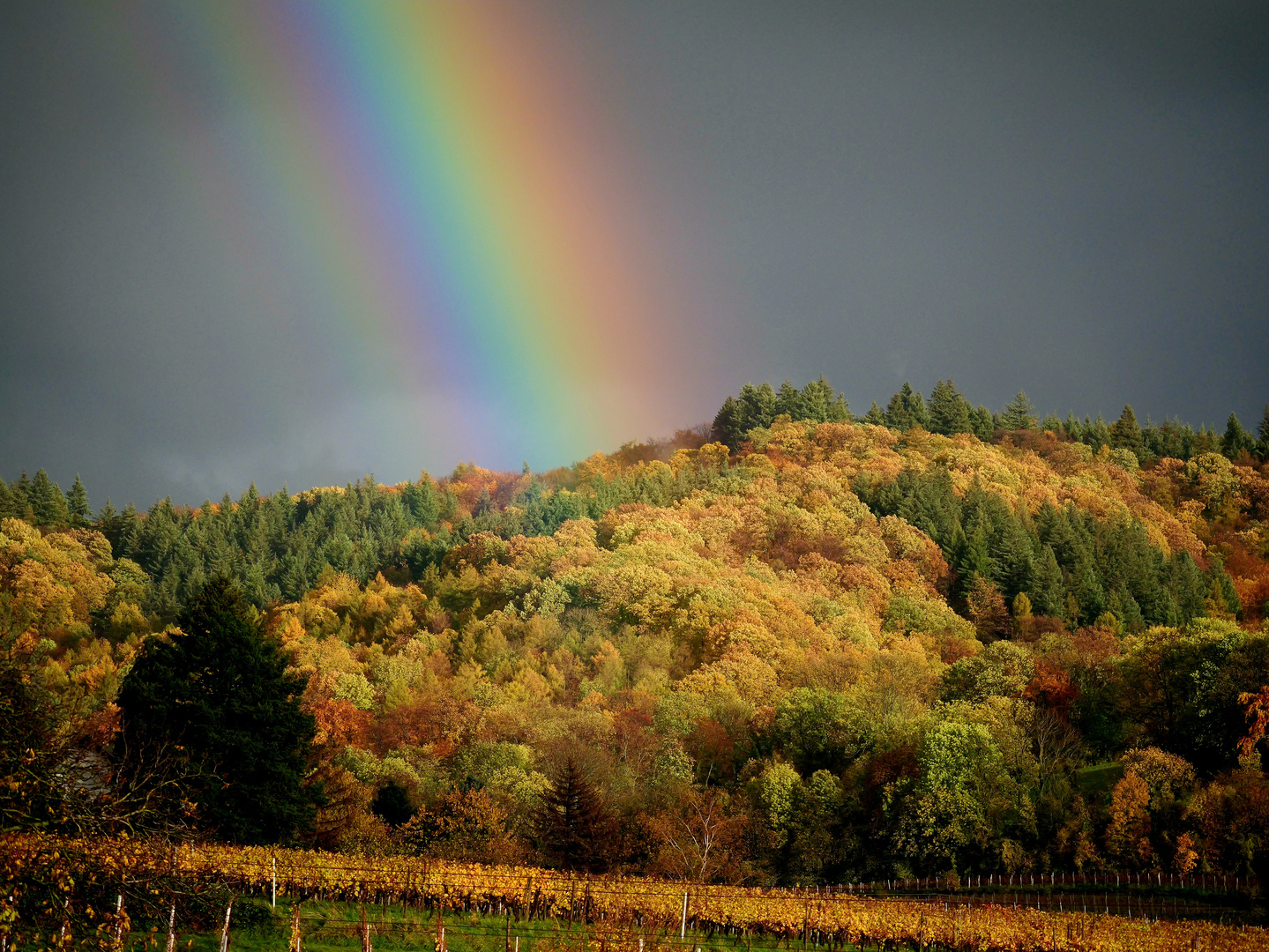 Herbststimmung