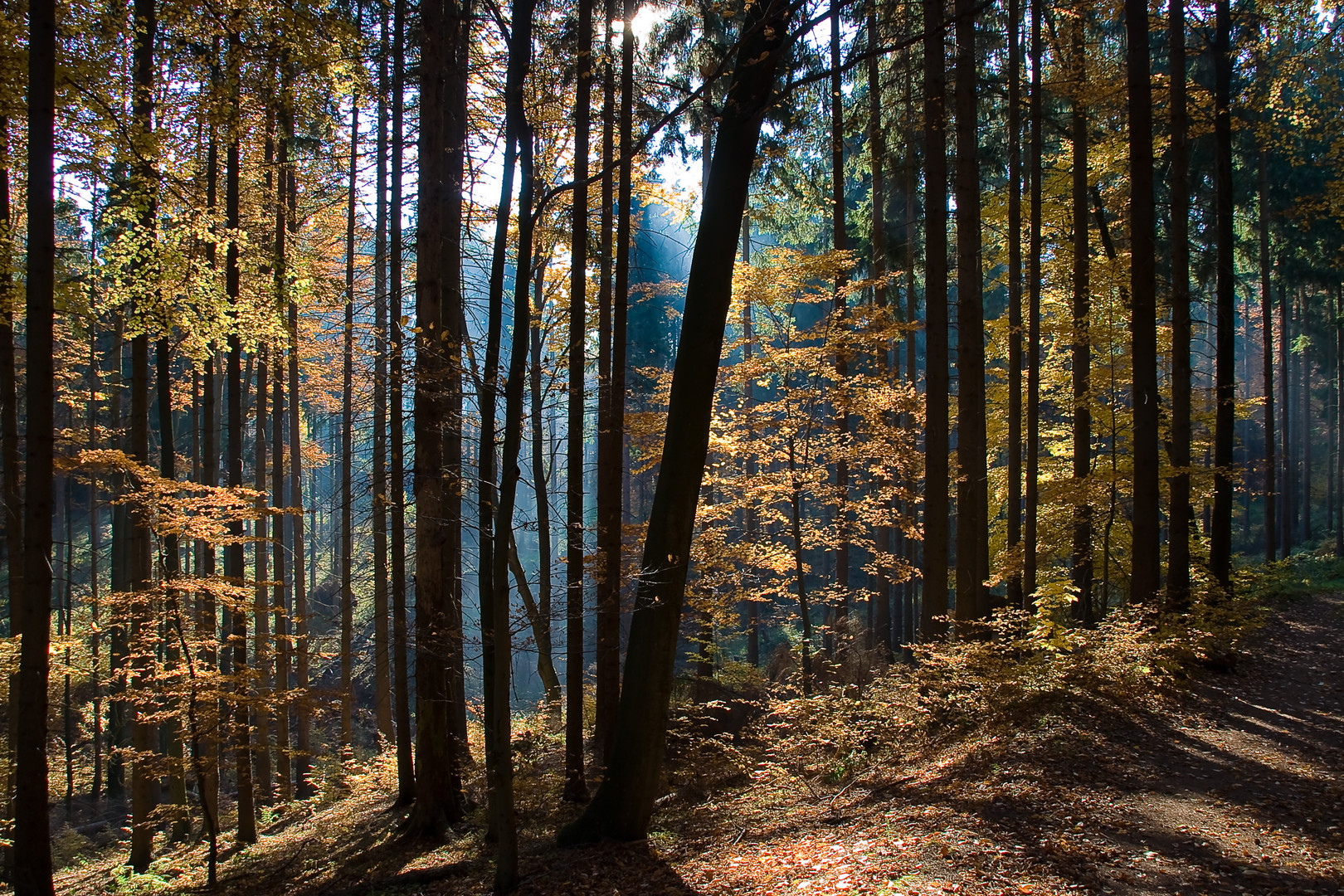 Herbststimmung