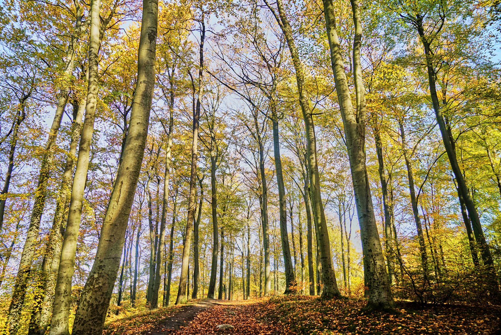 Herbststimmung