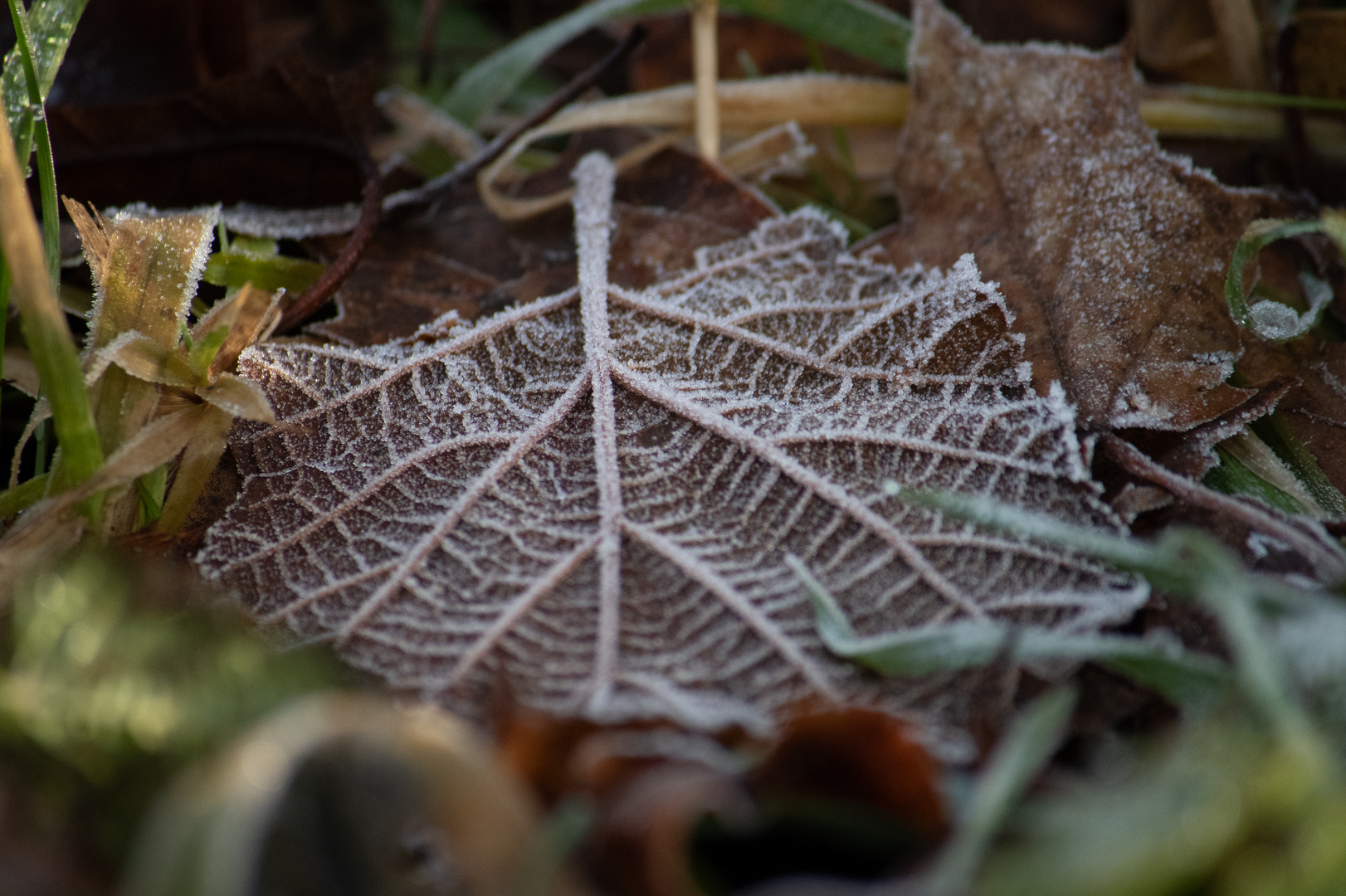 Herbststimmung