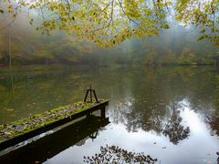 Herbststimmung