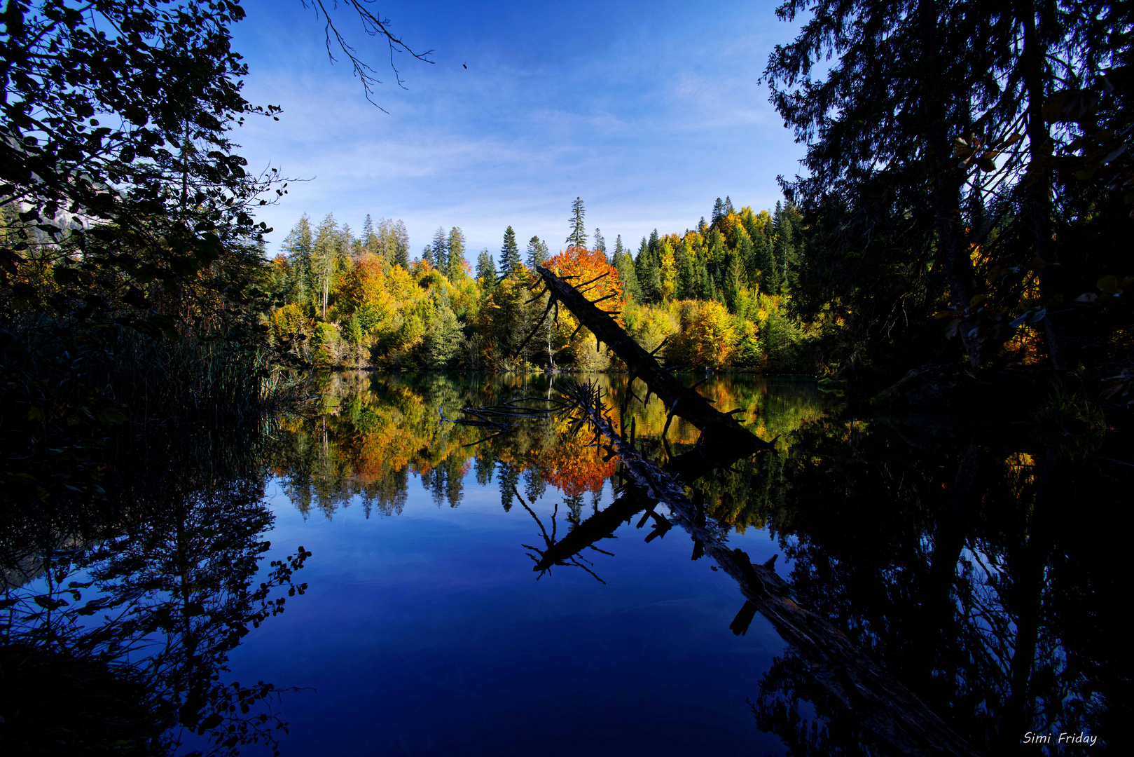 Herbststimmung