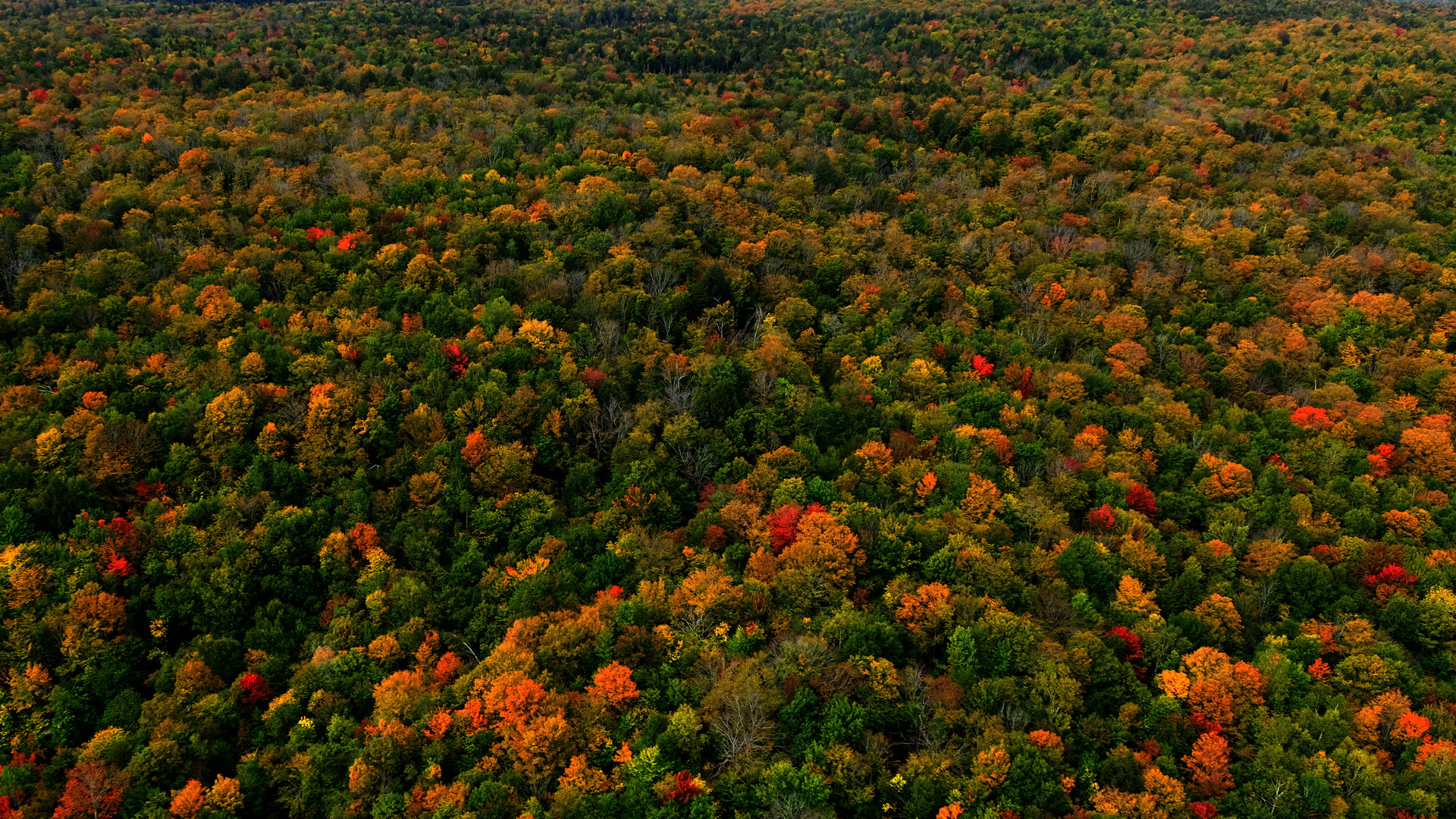 Herbststimmung Canada