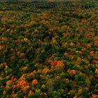 Herbststimmung Canada