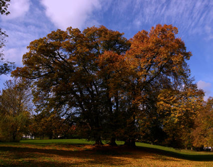 Herbststimmung