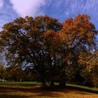 Herbststimmung