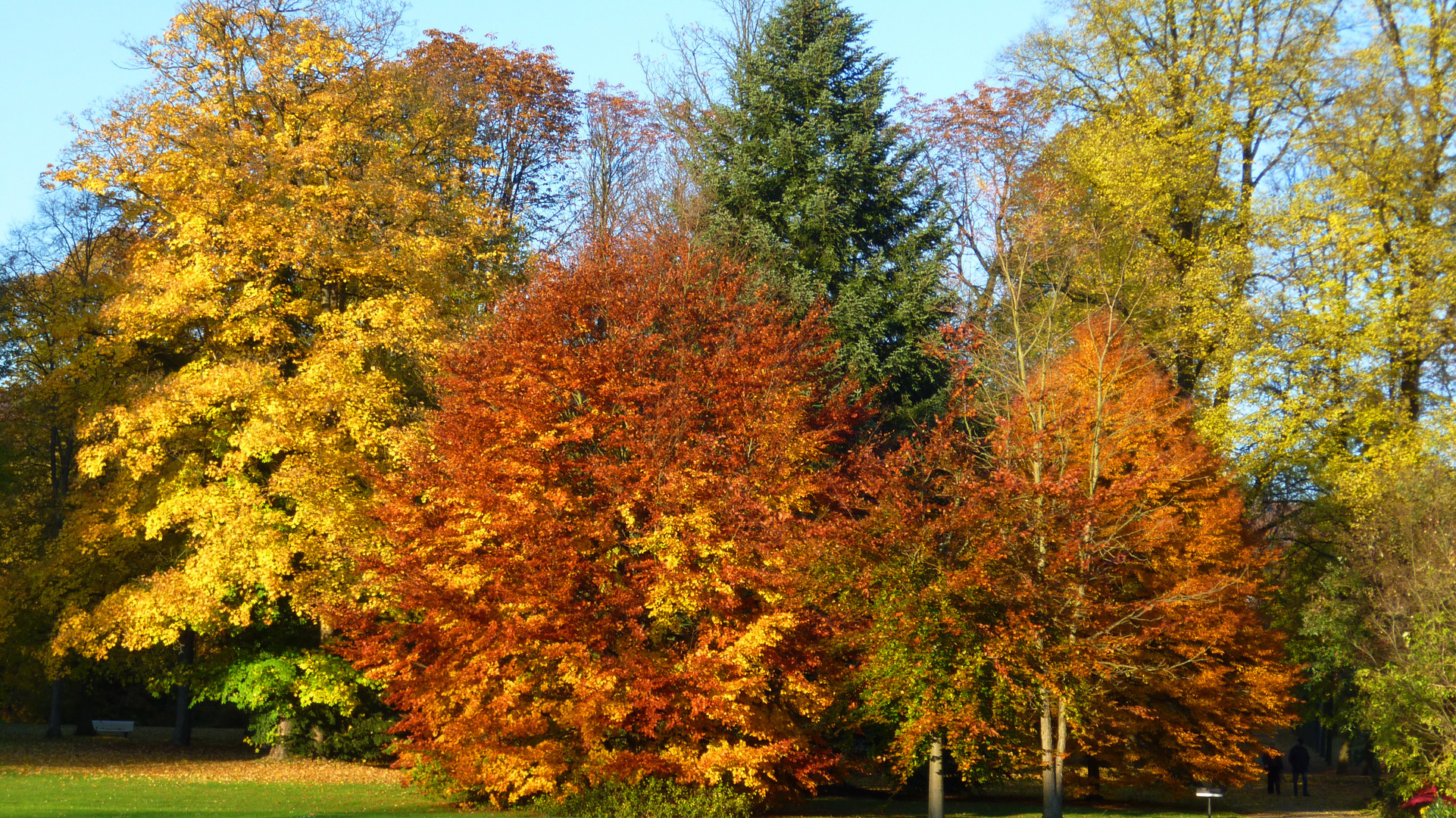 Herbststimmung